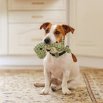 Indestructible Dog Toy | Durable Chew Toy for Dogs