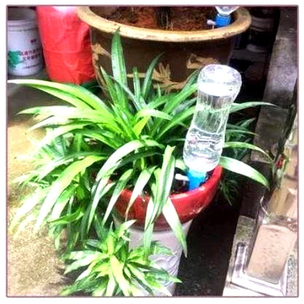 Self-Watering Plant Spikes - Adjustable Flow