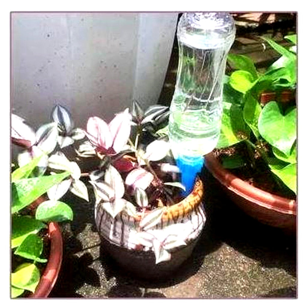 Self-Watering Plant Spikes - Adjustable Flow