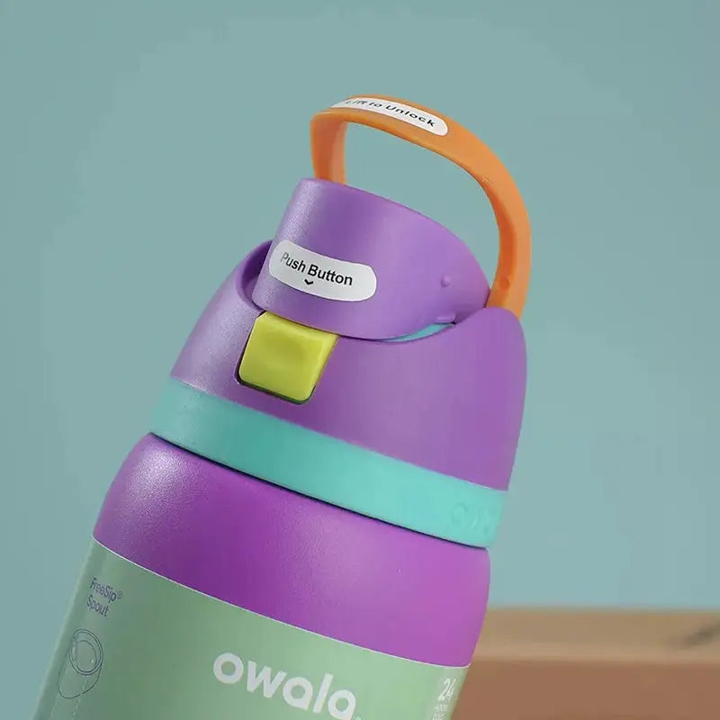 24 oz Insulated Water Bottle