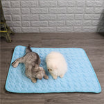Cooling Mat for Pets – Comfortable Relief on Hot Days