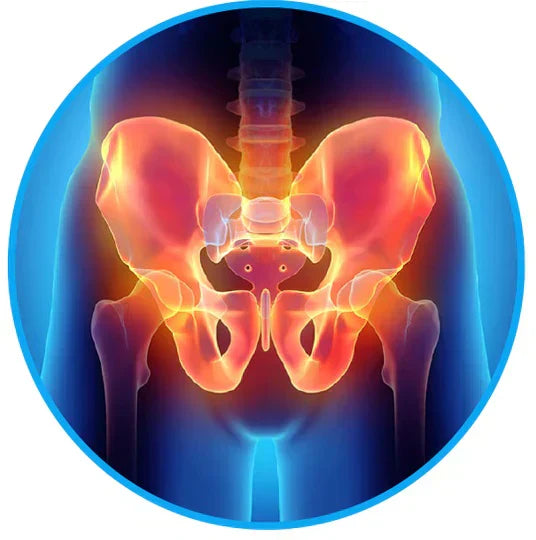 Back and Hip Pain Relief Belt for Sciatica