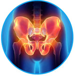 Back and Hip Pain Relief Belt for Sciatica