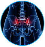 Back and Hip Pain Relief Belt for Sciatica