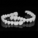 Dental Prosthesis with White Dental Lenses