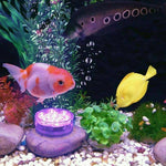 Remote-Controlled Waterproof LED Underwater Lamp - Glow Effect