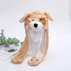 Light Brown Dog